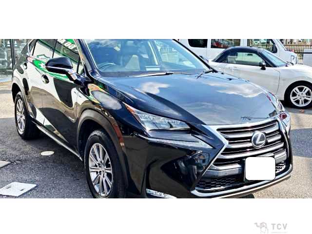2016 Lexus NX