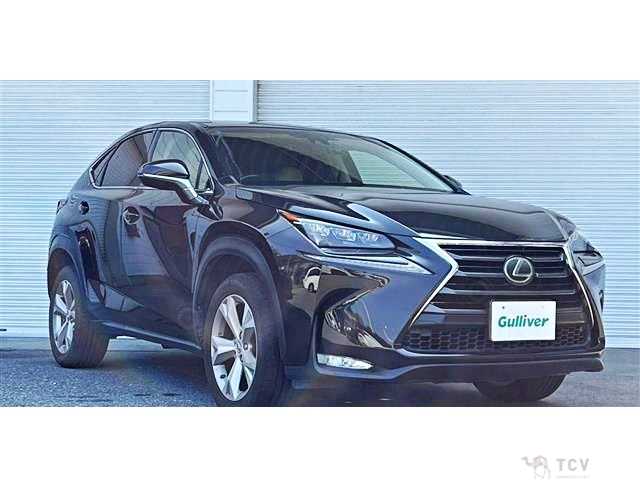 2016 Lexus NX