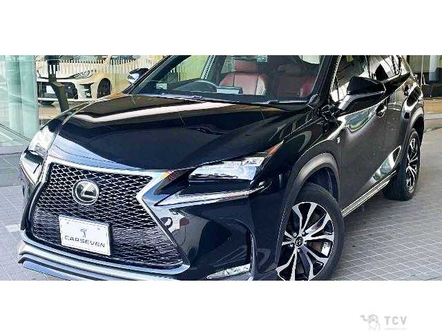 2016 Lexus NX