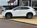 2016 Lexus NX