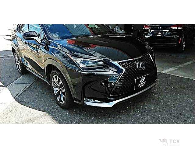 2016 Lexus NX