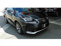 2016 Lexus NX