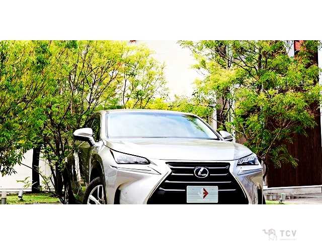 2016 Lexus NX