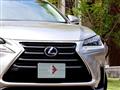 2016 Lexus NX