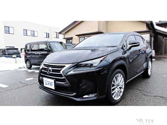 2016 Lexus NX