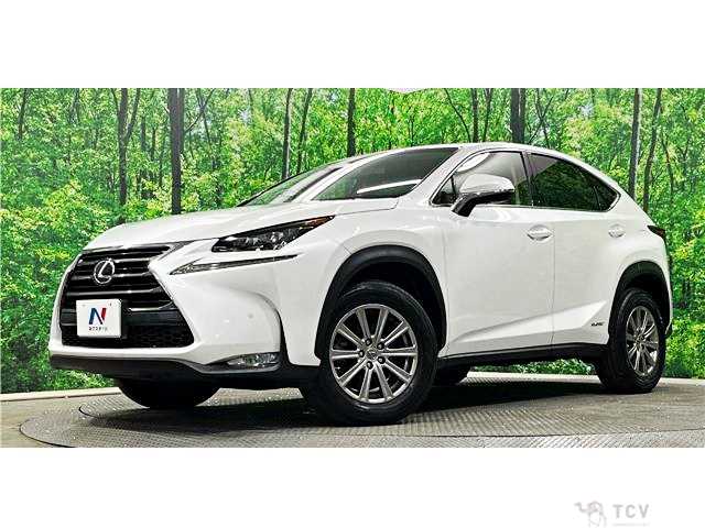 2016 Lexus NX