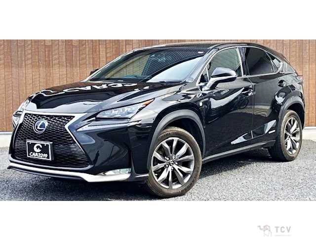 2016 Lexus NX