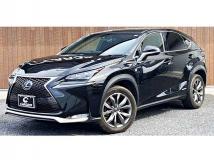 2016 Lexus NX