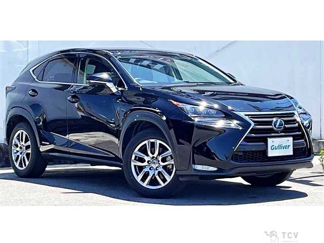 2016 Lexus NX