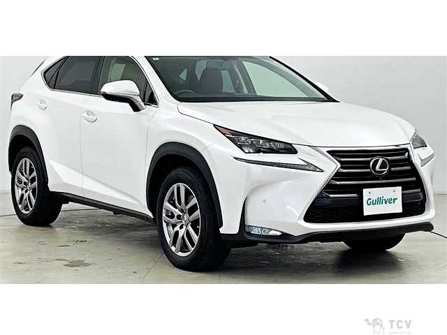 2016 Lexus NX