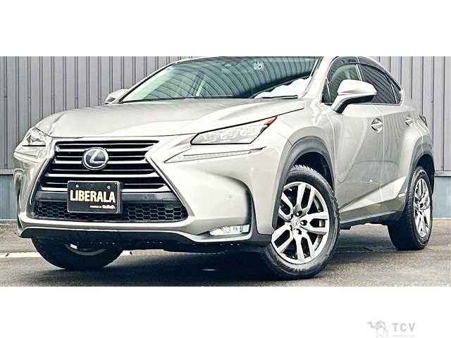 2016 Lexus NX