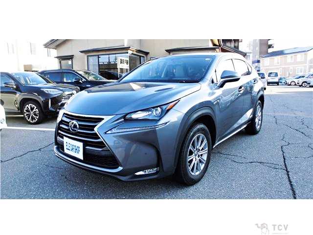 2016 Lexus NX