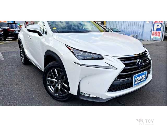 2016 Lexus NX