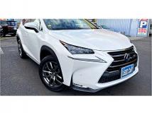 2016 Lexus NX