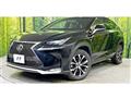 2016 Lexus NX