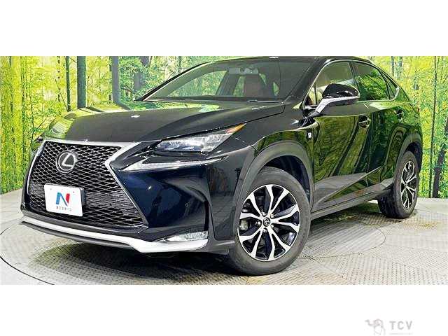 2016 Lexus NX