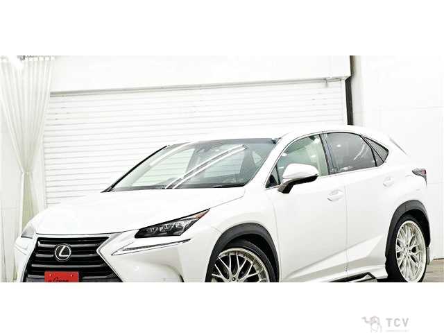 2016 Lexus NX