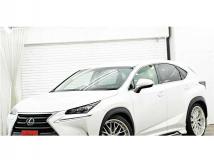 2016 Lexus NX