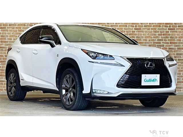 2016 Lexus NX
