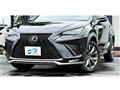 2018 Lexus NX