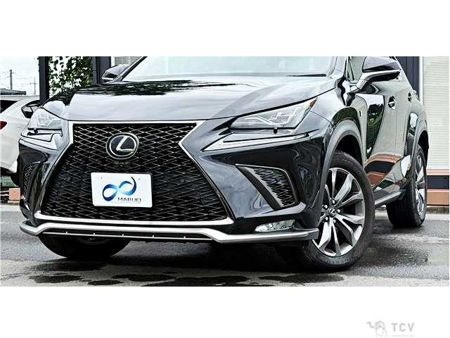 2018 Lexus NX