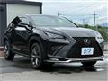 2018 Lexus NX
