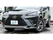 2018 Lexus NX