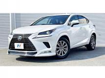 2018 Lexus NX