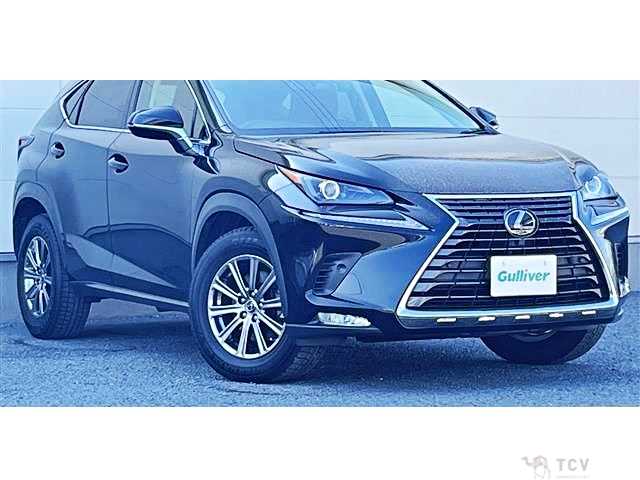 2018 Lexus NX