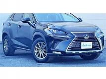 2018 Lexus NX