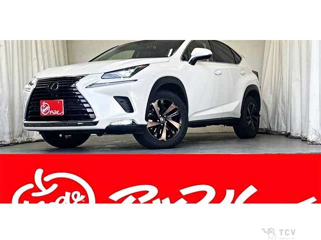 2018 Lexus NX