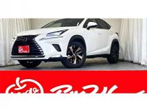 2018 Lexus NX