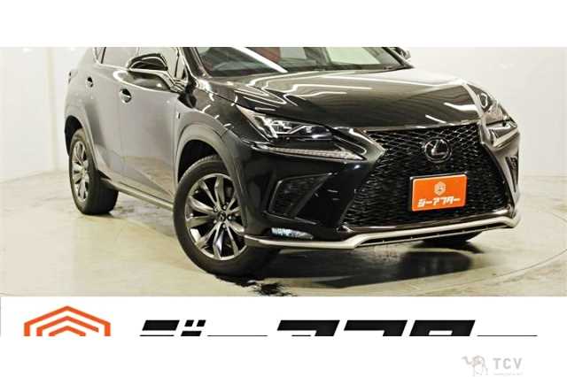 2018 Lexus NX