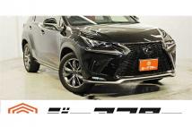 2018 Lexus NX