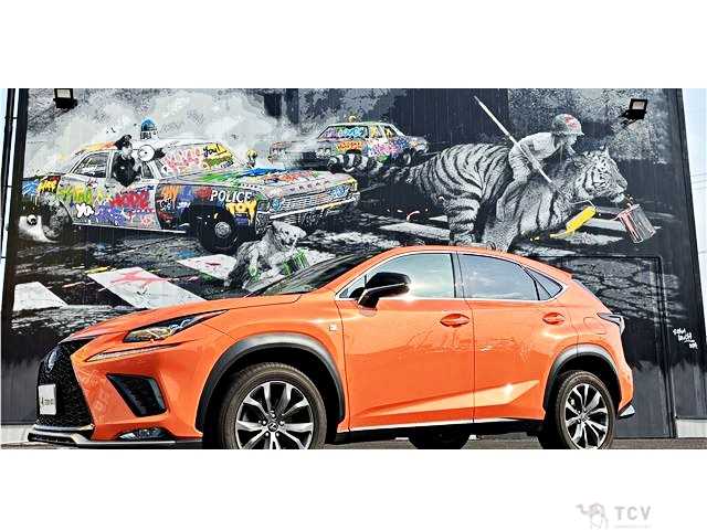 2018 Lexus NX
