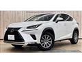 2018 Lexus NX