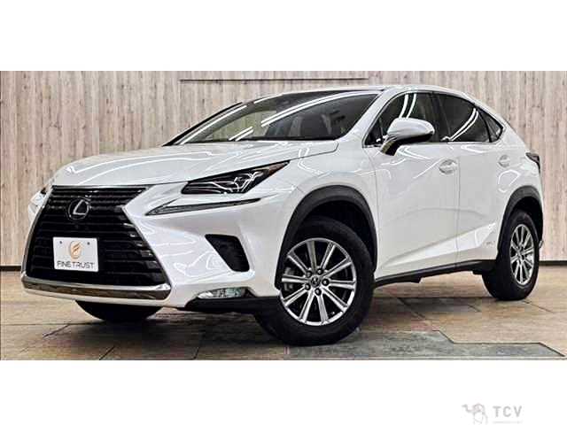 2018 Lexus NX