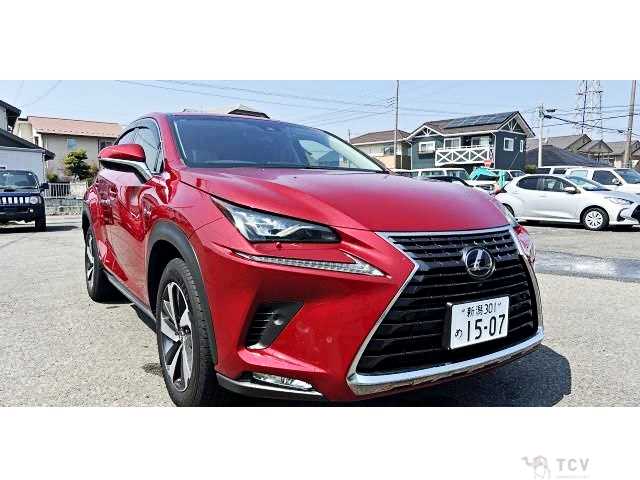 2018 Lexus NX