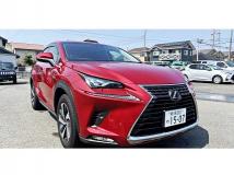 2018 Lexus NX