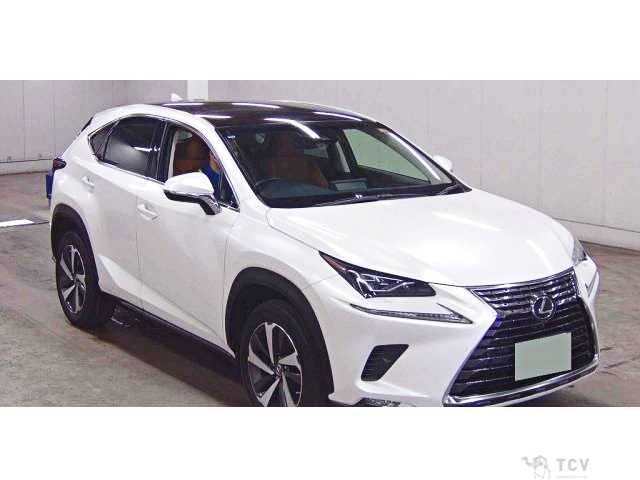 2018 Lexus NX