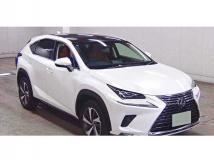 2018 Lexus NX