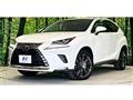 2018 Lexus NX