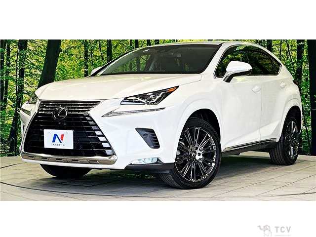 2018 Lexus NX