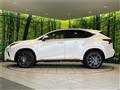 2018 Lexus NX