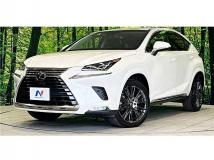 2018 Lexus NX