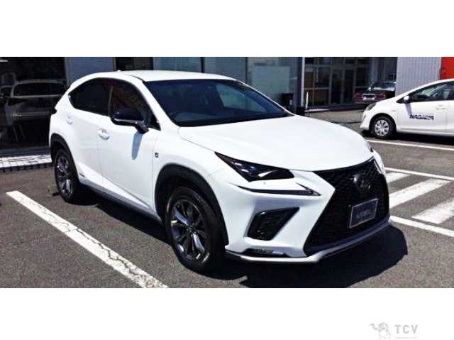 2018 Lexus NX