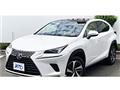 2018 Lexus NX