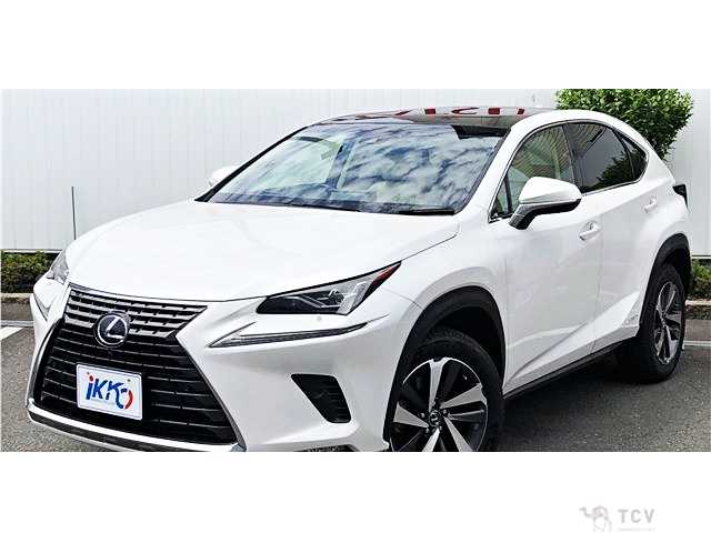 2018 Lexus NX