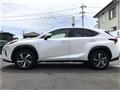2018 Lexus NX