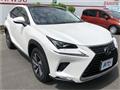 2018 Lexus NX